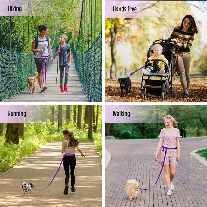 The Buddy System Extra a Buddy Small Purple