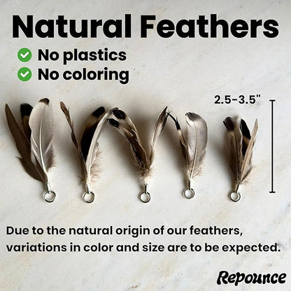 Cat Feather Toy Refill 3-Pack - Natural Feather Cat Toy - Small Size Cat Wand Attachments - Official Cat Toy Feather Replacement for Forever Stick Cat Wand Toy - Cat Wand Refill - Cat Lure and Teaser