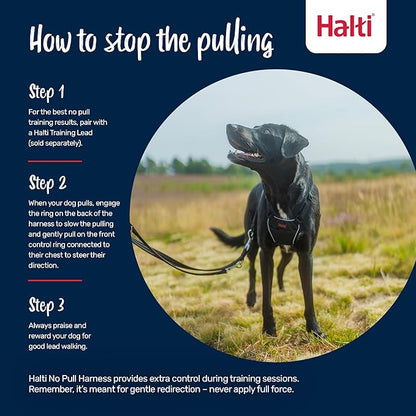 Halti No Pull Harness - Stop Your Dog Pulling on The Leash. Adjustable, Lightweight and Easy to Use. Reflective Dog Training Harness for Medium Dogs (Size M, Desert Sand)