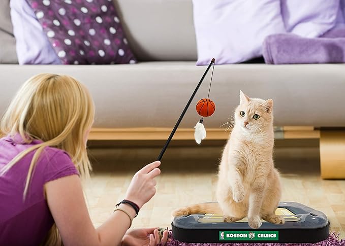 Pets First Boston Celtics Basketball Cat Scratcher Toy 14 x 11