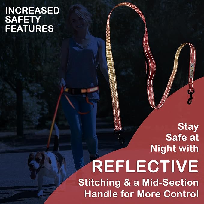 Hands-Free Leash for Small to Large Dogs 5ft - Heavy Duty Adjustable Waist Belt, Padded Handles, Reflective Stitching, Satin Carry Bag for Walking, Running, Hiking