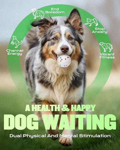 Automatic Dog Ball Launcher, Ball Thrower for Dogs (2.3” ETPU Balls *6)