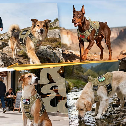 rabbitgoo Tactical Dog Harness Medium Sized, No Pull Upgraded Reflective Heavy Duty Molle Vest with Handle, Adjustable Military Service Dog Vest for Walking Hiking Training, Brown, M