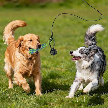 Flirt Pole for Dogs, Interactive Dog Toys Extendable Teaser Wand with Lure Chewing Toys, Chase and Tug of War for Small Medium Large Dogs Training Playing Exercise