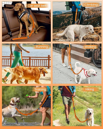 Hands Free Dog Leash, 2-in-1 Detachable Pet Seatbelt,5.9-9.2 ft Crossbody Dog Leash with Double-Sided Reflective for Walking, Hiking, Travel etc.(Orange)