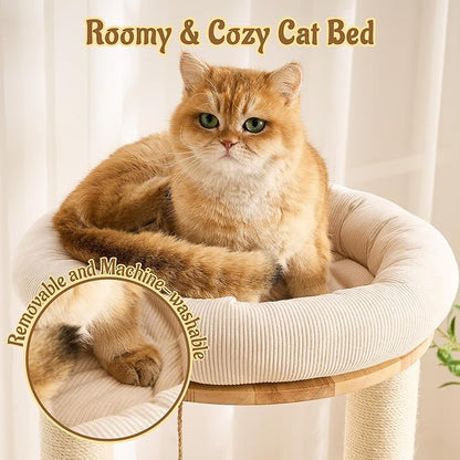Modern Solid Wood Cat Tree for Indoor Cats Up to 15lbs, 49" Tall Cat Tower with Scratching Posts & Scratcher, Large Cat Bed, Hammock, Capsule Nest, Dangling Ball, Multi-Level Cat Furniture
