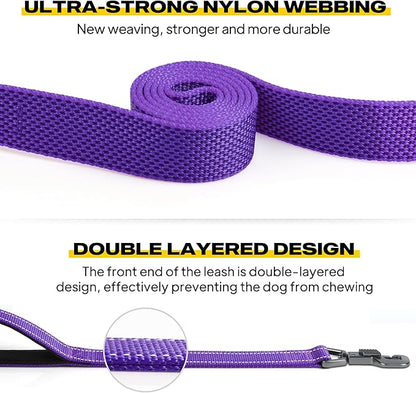 Fida 5 FT Heavy Duty Dog Leash with 2 Comfortable Padded Handles, Traffic Handle & Advanced Easy Snap Hook, Reflective Walking Lead for Large, Medium & Small Breed Dogs, Purple