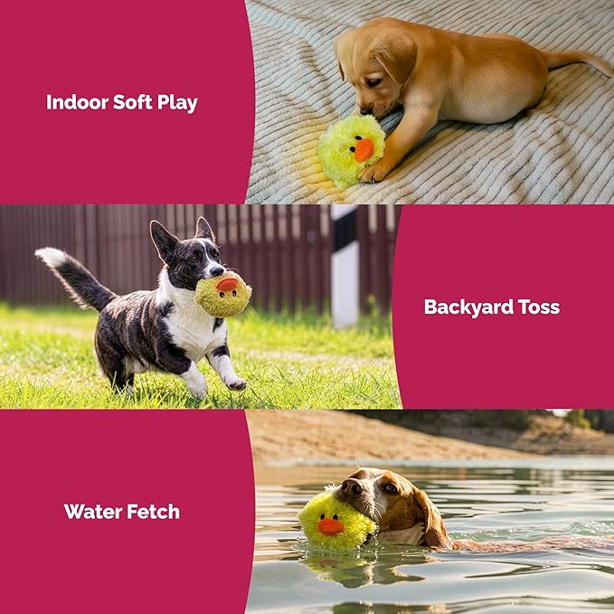 Pet Lou DOG'Z 4 Inch EZ Squeaky Chick Dog Plush Toy, Stuffing-Free Soft Plush, Durable Bouncy Squeaker Ball, Floats in Water, for Small & Medium Dogs, Yellow
