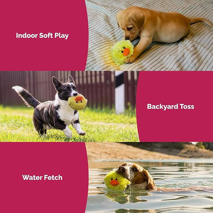Pet Lou DOG'Z 4 Inch EZ Squeaky Chick Dog Plush Toy, Stuffing-Free Soft Plush, Durable Bouncy Squeaker Ball, Floats in Water, for Small & Medium Dogs, Yellow