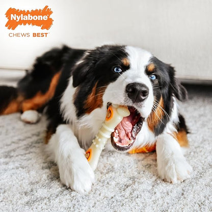 Nylabone Knuckle Bone Pop-in Treat Toy Power Chew Toy with 30 Refills, Interactive Treat Dispensing Enrichment Toys for Dogs, Long Lasting Chicken Flavor, Large Dogs - Up to 50 lbs, 2 Pack