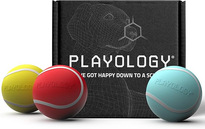 Playology Dog Toys | Rainbow of Scent Chew Toy Gift Box - Medium Squeaky Chew Balls for Dogs | Peanut Butter, Chicken, & Beef Scented Toys - Easy to Clean and Made from Non Toxic Materials