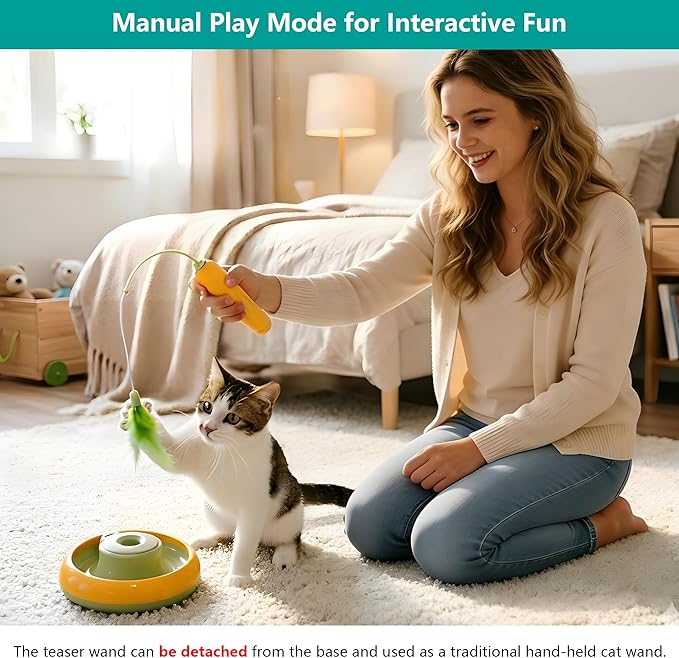 Detachable Interactive Cat Toy | Handheld Teaser Wand/Floor Play Dual-Use, Indoor Cat Toy