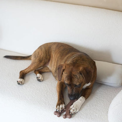 SPOT Bam-Bones Wishbone - Made with Strong Bamboo Fiber, Durable Long Lasting Dog Chew for Light to Moderate Chewers, Great Toy for Adult Dogs & Teething Puppies Under 50lbs, 7in, Bacon Flavor