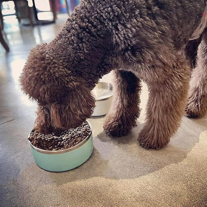 IKITCHEN Dog Bowl for Food and Water, 64 Oz Stainless Steel Pet Feeding Bowl, Durable Non-Skid Double Wall Insulated Heavy Duty with Rubber Bottom for Medium Large Dogs (64 Ounces/8 Cup, MintGreen)