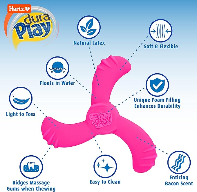 Hartz DuraPlay Bacon Scented Dog Toys, Medium/Large (Colors May Vary) All Breed Sizes (Pack of 2)