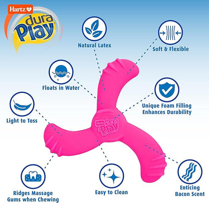 Hartz DuraPlay Bacon Scented Dog Toys, Medium/Large (Colors May Vary) All Breed Sizes (Pack of 2)
