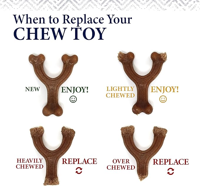 Nylabone Gourmet Style Wishbone Strong Chew Toy for Dogs, Chicken Flavor, Large - Up to 50 lbs, 1 Count