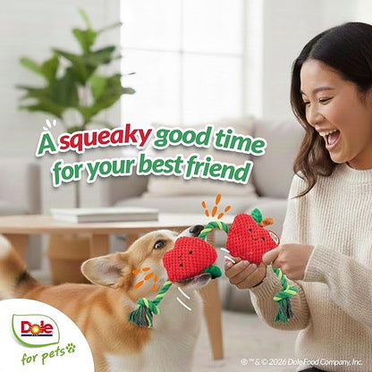 Dole for Pets® Dog Rope Toy with Squeakers, Apple Tug of War Dog Toy, Tough Cotton Rope Toys for Dogs, Aggressive Chew Toys for Large Dogs and Medium Dogs