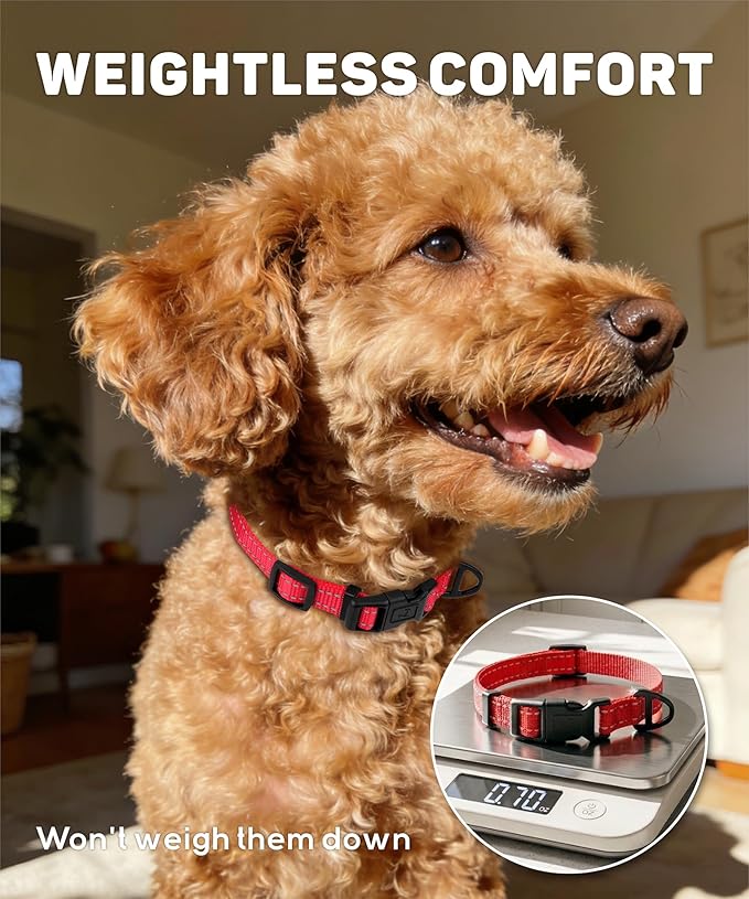 TagME Reflective Nylon Dog Collars, Adjustable Classic Pet Collar with Quick Release Buckle for Small Dogs, Grey, 5/8" Width
