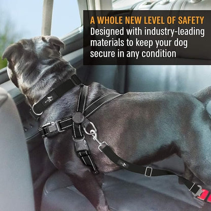 Active Pets Black Car Seat Belt for Dogs, Attaches to Harness & Collar, Adjustable 18" - 24" Travel Restraint System Fits Small - Large Pups for Safety & Comfort, Essential Pet Supplies & Accessories