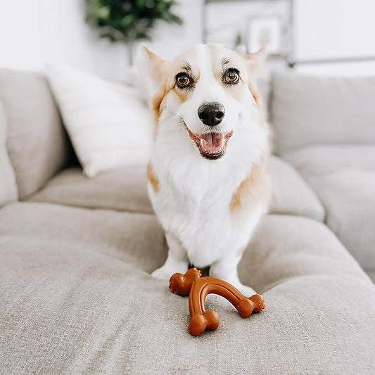 Nylabone Ergonomic Hold Wishbone Power Chew Toy for Dogs, Dog Toys for Aggressive Chewers, Bison Flavor, Small - Up to 25 Ibs, 1 Count
