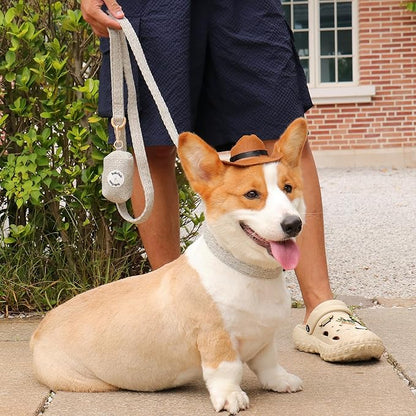 5 FT Stylish Dog Leash, Soft Dog Leashes with Comfortable Padded Handle, Metal Carabiner Clip, Strong No Pull Pet Leash for Small Medium Dogs for Walking, Shopping and Running