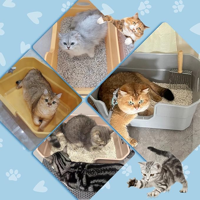 Low Entry Litter Box for Kittens & Senior Cat, High Sided Kitty Litter Boxes with Handle, Anti-Splash Plastic Large Litter Tray Pan for Big Cats, Easy to Clean, 19.6"L*13.7"W*8.6"H (Apricot)