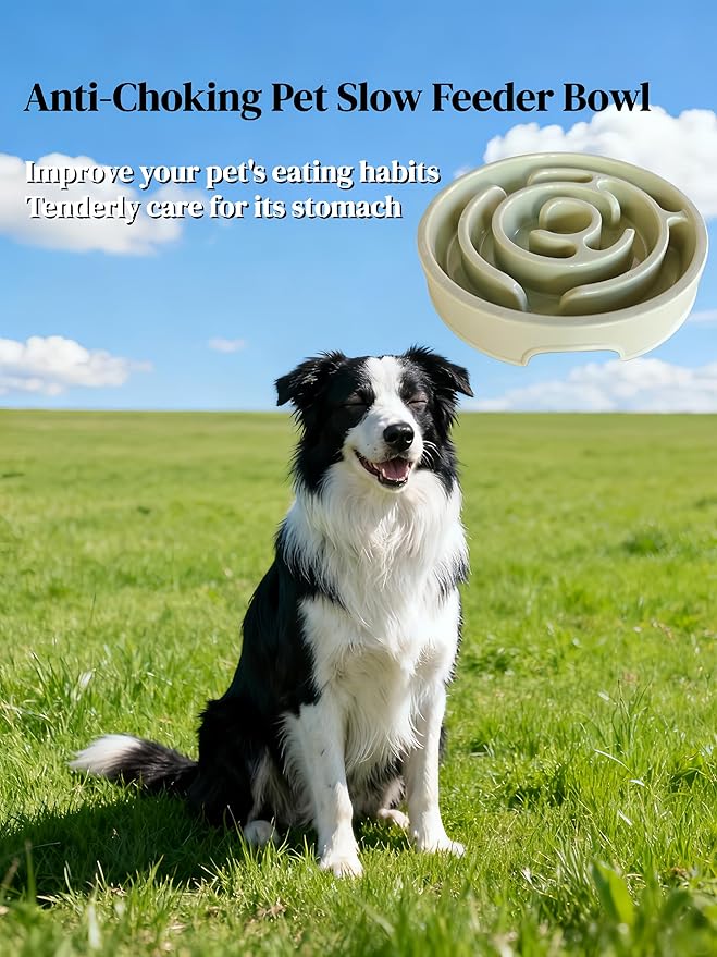 Pet Slow Feeder Bowl - Anti-Choking Maze Design, Universal for Dogs & Cats, Anti-Slip & Anti-Tip (Bowl-Light Green)