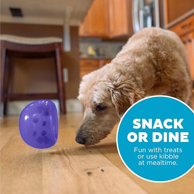 Outward Hound by Planet Dog Lil' Snoop Dog Toy – Treat‑Dispenser Puzzle Ball, Interactive Slow Feeder, Small to Medium Dogs, Bouncy & Mint-Infused, Purple, 3.9"