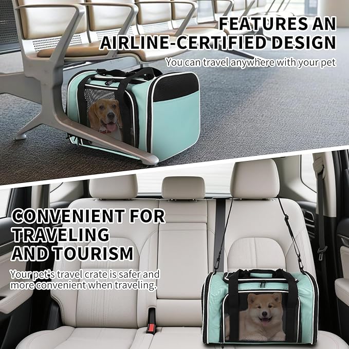 Cat Dog Carriers Soft-Sided, Pet Travel Carrier for Small Cats Dogs Under to15lbs, Soft-Solid Collapsible Carrier,(Medium,Green)