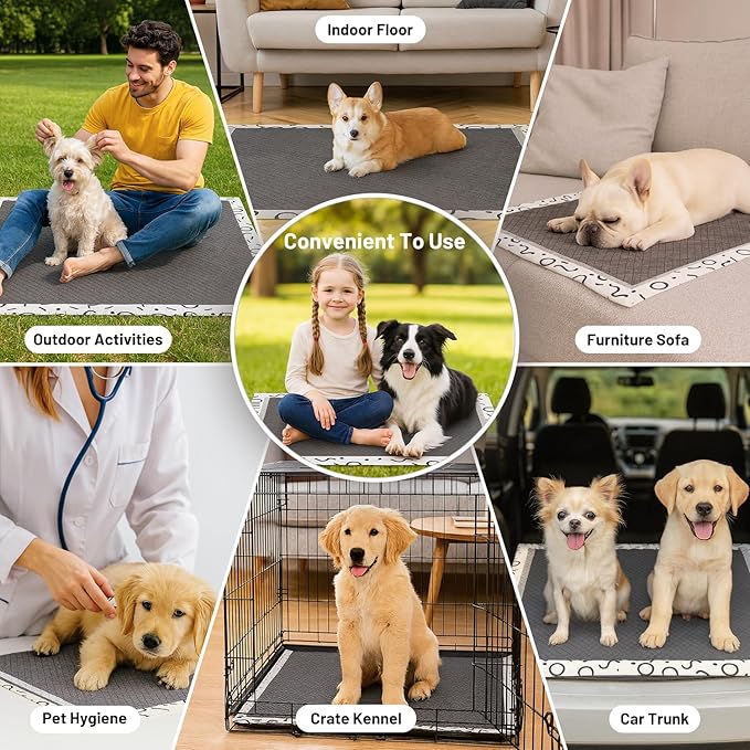 Charcoal Puppy Pee Pads for Dogs, 22"x22" 50 Counts + 1 Extra Health Monitoring Pad - Disposable Dog Potty Training Pads, Odor-Control, Super Absorbent & Leak-Proof
