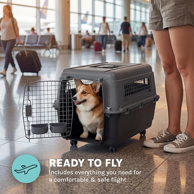SportPet Airline Compliant MEDIUM 24.25" Travel Dog Kennel-Durable Plastic Airline Pet Carrier w/ Removable Wheels & Food Bowls, Collapsible Indoor/Outdoor Dog Kennel, Dogs up to 23"L & 15"H-Dark Gray