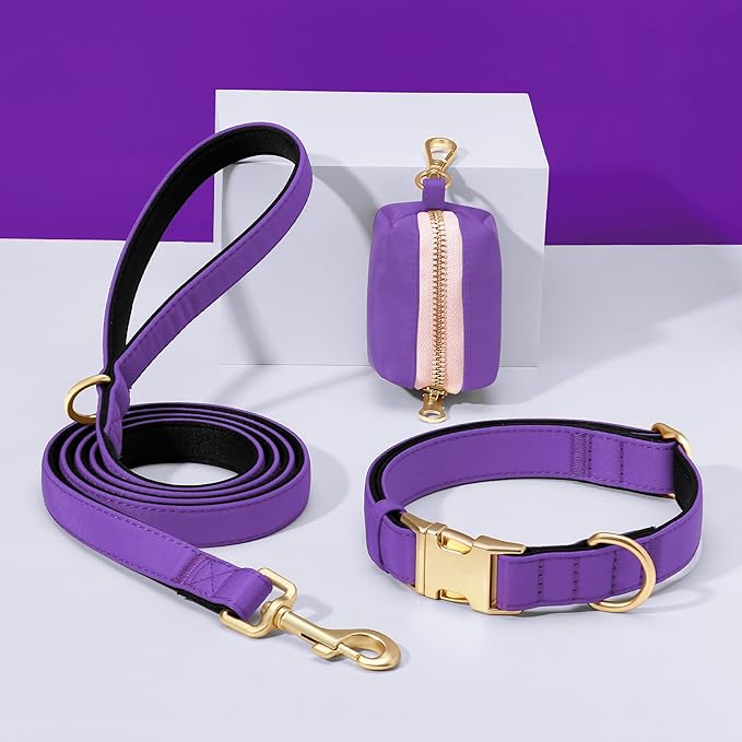 Didog 5FT Colorful Nylon Dog Leash with Soft Full-Length Padding, Lightweight and Durable Pet Leash for Medium and Large Dogs, Purple, M