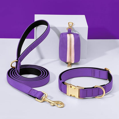 Didog 5FT Colorful Nylon Dog Leash with Soft Full-Length Padding, Lightweight and Durable Pet Leash for Medium and Large Dogs, Purple, M