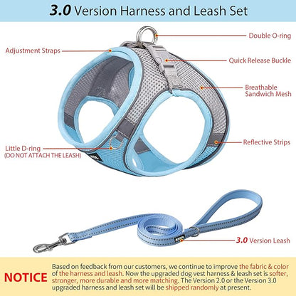 AIITLE Step in Dog Harness and Leash Set - No Pull Escape Proof Vest Harnesses with Soft Mesh and Reflective Bands, Adjustable Pet Outdoor Harnesses for Small and Medium Dogs Blue M