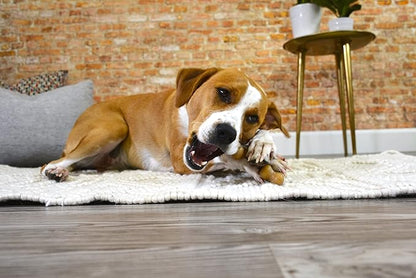 Nylabone Gourmet Style Wishbone Strong Chew Toy for Dogs, Chicken Flavor, Large - Up to 50 lbs, 1 Count