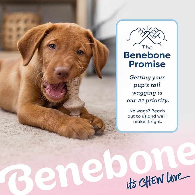 Benebone Puppy 2-Pack Maplestick/Zaggler Durable Dog Chew Toys for Gentle Chewers, Real Bacon, Real Maplewood, Made in USA, Tiny