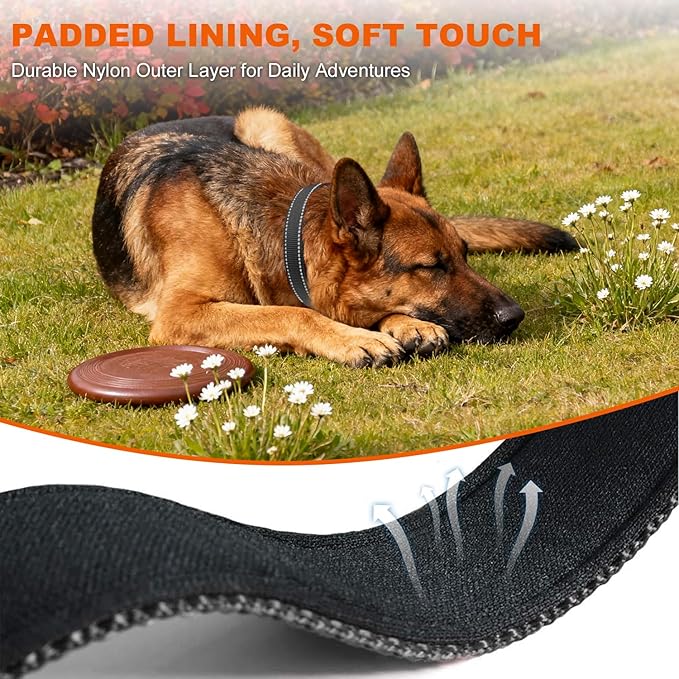 Taglory Reflective Dog Collar with Safety Locking Buckle, Soft Neoprene Padded Dog Collar for Large Dogs, Metal D-Ring, Adjustable Nylon Neck Strap for Daily Walking, Training & Running, Black, L