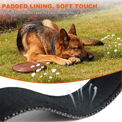 Taglory Reflective Dog Collar with Safety Locking Buckle, Soft Neoprene Padded Dog Collar for Extra Large Dogs, Metal D-Ring, Adjustable Nylon Neck Strap for Walking, Training & Running, Black, XL