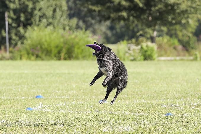 Hyperflite Pup Hyperflex Dog Flying Disc – for Dogs Under 16" – Ultra Flexible – Puncture Resistant – Competition Approved – 7" / 90g – Purple