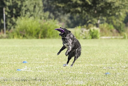 Hyperflite Pup Hyperflex Dog Flying Disc – for Dogs Under 16" – Ultra Flexible – Puncture Resistant – Competition Approved – 7" / 90g – Purple