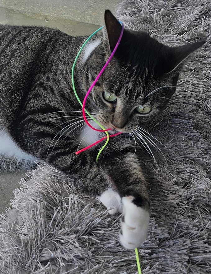 Cat Wand Toy for Indoor Cats, 105” Extra Long Magical Cat Teaser Wand, Interactive Cat Toy with Durable Nylon String, Elastic Wand for Exercise & Enrichment, Kittens to Senior Cats