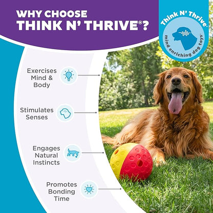 Outward Hound by Nina Ottosson Treat Tumble – Interactive Food-Dispensing Dog Puzzle Ball, Level 1 Beginner, Large, 5.75"