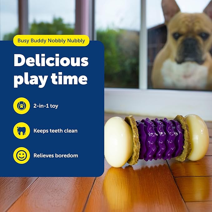 PetSafe Busy Buddy Nobbly Nubbly Treat Holding Dog Toy - Boredom Relief for Strong Chewers - Durable Nylon Build - Dishwasher Safe Design - Includes Treat Rings - Engaging Pet Puzzle - Purple - Medium