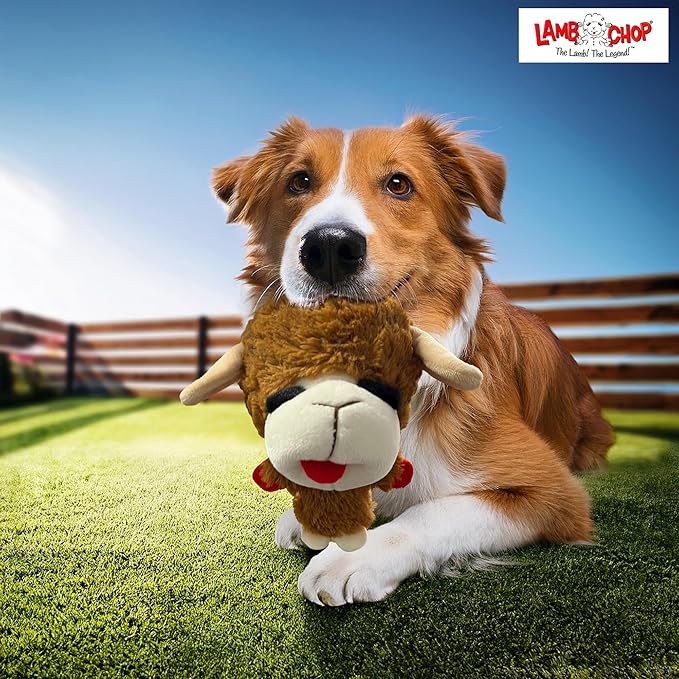 Multipet Knobby Noggins Dog Toy Lamb Chop | Lambchop Knobby Noggins Knobby | Noggins Squeaky Dog Toy Plush | 5" | Small/Medium Breed | Officially Licensed (Brown)