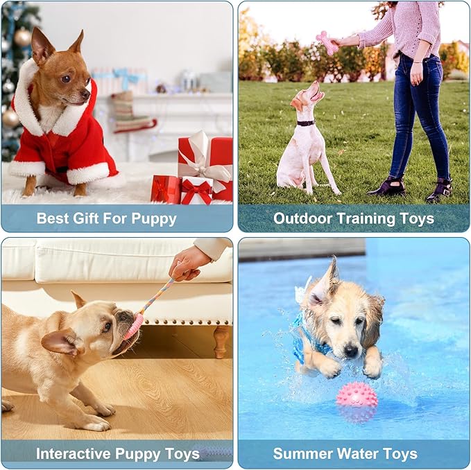 6 Pack Dog Chew Toys for Puppy Cute Blue Small Dog Toys Puppy Dog Toys for Teething Soft Durable Interactive Chew Toy for Small Dogs Light Pink
