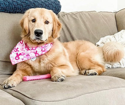 Nylabone Power Chew Breast Cancer Awareness Femur Bone Chew Toy for Dogs, Indestructible Dog Toys for Aggressive Chewers, Chicken Flavor, X-Large/Souper (1 Count) (Pack of 2)