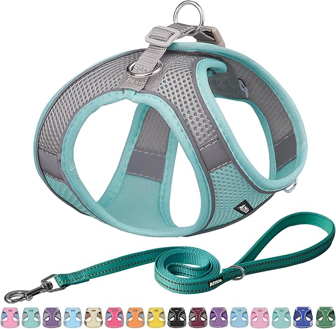 AIITLE Comfortable Dog Harness and Leash Set for Walking - Step in Vest Harness,Reflective Bands, Adjustable No Pull Puppy Essentials, for Small Dogs and House Cats Turquoise XS
