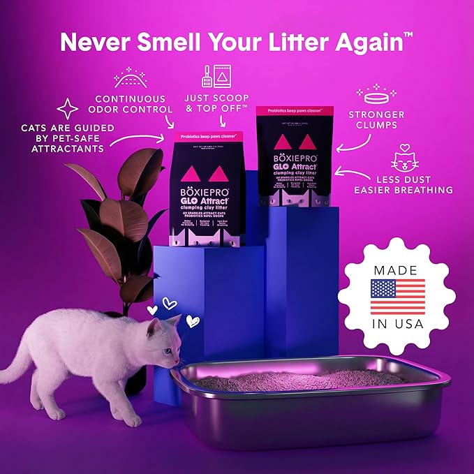 Boxie Glo Clumping Clay 30 Day Odor Control Cat Litter, 99.9% Dust-Free, Low Tracking, UV Light Attractant, 40 lb