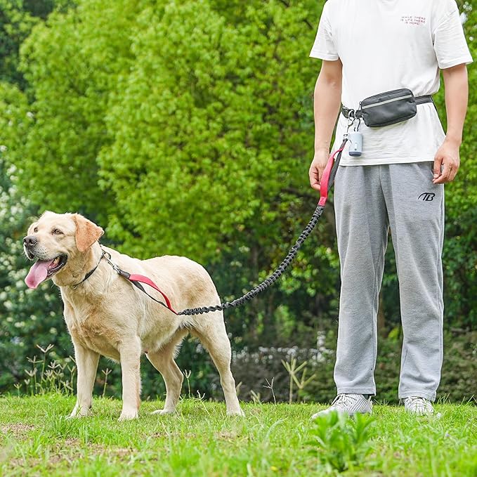 Hands-Free Dog Leash for Dogs up to 130 lbs – Heavy-Duty, Shock-Absorbing Bungee Leash with Zipper Pouch, Dual Padded Handles & Adjustable Waist Belt for Running & Walking – Classic Red